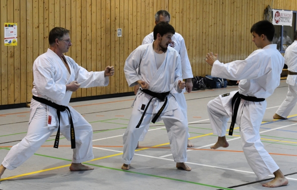 Kumite Julian Chees Lehrgang